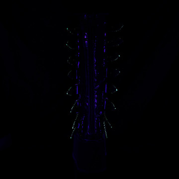 pali pole dance abbigliamento