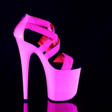 Pleaser FLAMINGO-869UV Neon H. Pink Elastic Band-Pat/Neon H. Pink