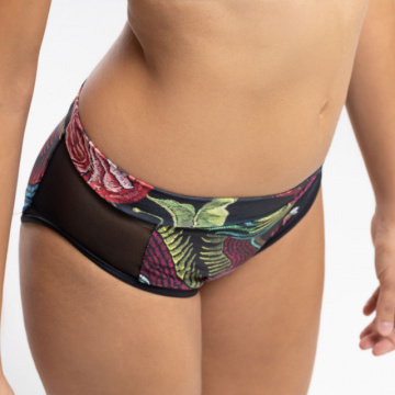 Hemera Bottom subito disegno drago M