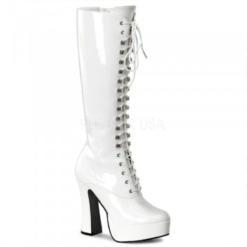 Pleaser Platform Shoes ELE2020/W