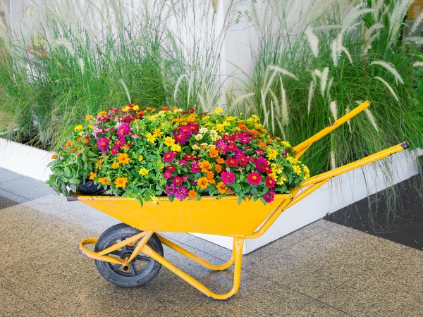 Accesorii si decoratiuni gradina