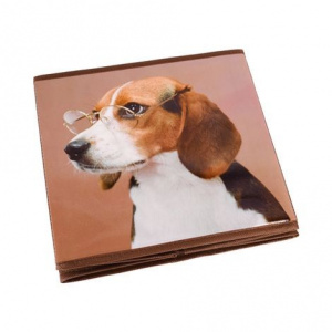 Cutie depozitare pliabila Beagle
