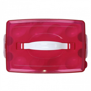 Cutie pastrare oua, cu 2 etaje, 24,5 x11,3x16.5 cm, capac rosu