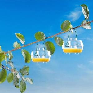 Set 2 bucati capcane pentru albine si alte insecte