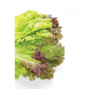 Cutit pentru salata