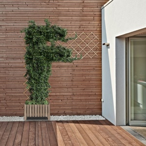 Set 3 spaliere extensibile pentru plante, Relaxdays, lemn, dimensiuni 180 x 90 x 1.5 cm, natural - Img 6
