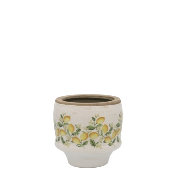 Ghiveci Limone Blossom cu lămâi și flori