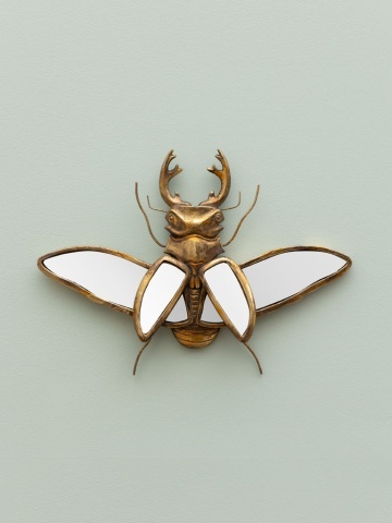 Oglinda decorativa, de perete, din rasina, Beetle - Img 2