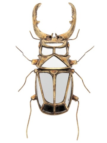 Oglinda decorativa, de perete, din rasina, Stag beetle