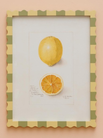 Set 2 tablouri Avocado & Lemon - Img 3