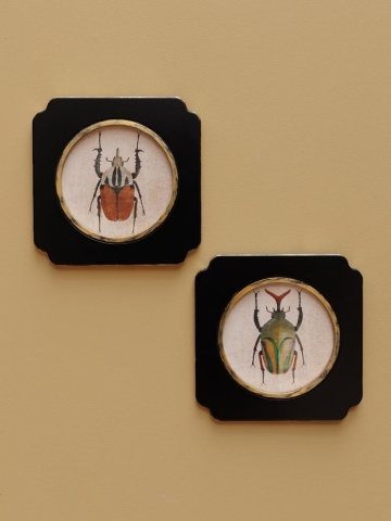 Set 2 tablouri cu insecte, cu rama din lemn, Beetles - Img 2