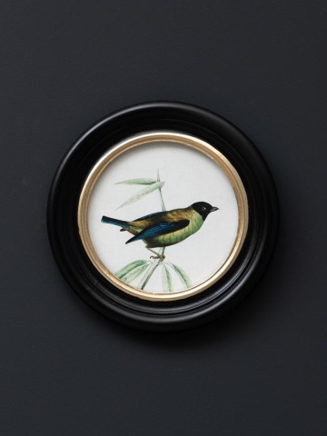 Set 3 tablouri, Colored Birds - Img 3