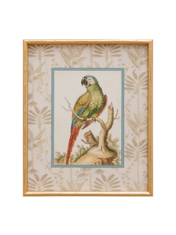 Tablou din lemn, H60cm,Parrot
