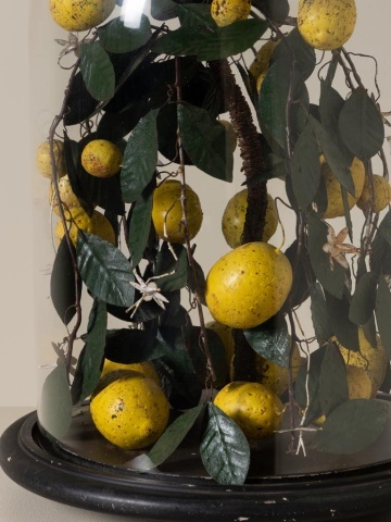 Clopot de sticlă cu lămâi artizanal, „Lemon Precious” - Img 5