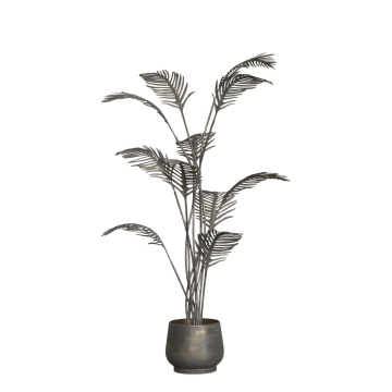 Planta decorativa in ghiveci, alama, H94 cm