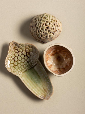 Set 2 recipiente decorative din ceramică artizanală natur, formă de nucă și ghindă, 13 × 21,5 × 11,5 cm, „Acorn" - Img 5