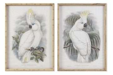 Tablou decorativ cu sticlă și ramă din bambus, stil tropical, multicolor, din bambus și sticlă, „Cockatoo”
