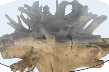 Masă dining rotundă din rădăcină de teak cu blat din sticlă securizată, 160×160×76 cm, „Raiz" - Img 4