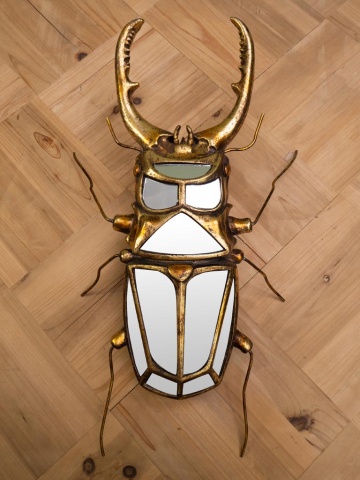 Oglinda decorativa, de perete, din rasina, Stag beetle - Img 2
