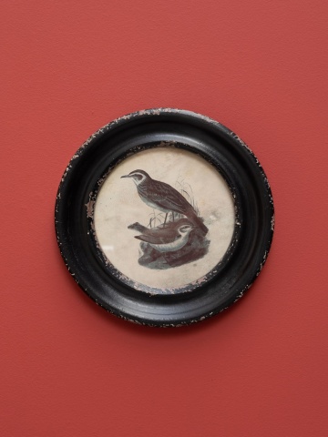 Tablou decorativ, cu rama din lemn de pin, aspect vintage, Turtledoves III - Img 2