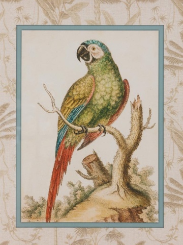 Tablou din lemn, H60cm,Parrot - Img 3