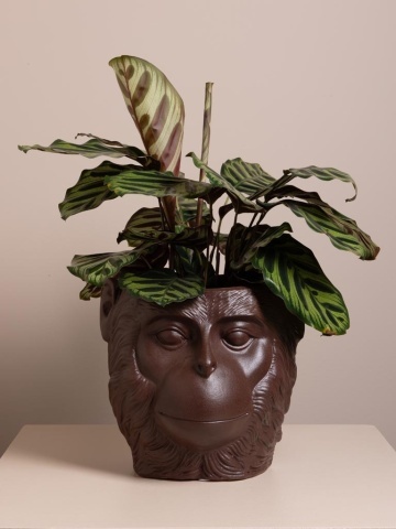 Vas decorativ din ceramică ⌀ 18 cm, „Primate” - Img 3