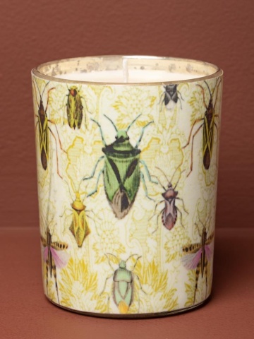 Lumanare parfumata "Bugs" - Img 4