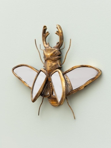 Oglinda decorativa, de perete, din rasina, Beetle - Img 3