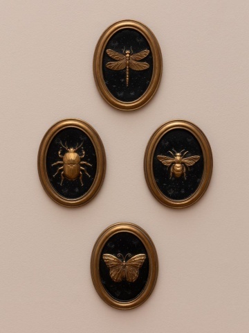 Set 4 tablouri polyrasina cu insecte " Entomology " - Img 7