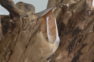Masă dining rotundă din rădăcină de teak cu blat din sticlă securizată, 160×160×76 cm, „Raiz" - Img 8