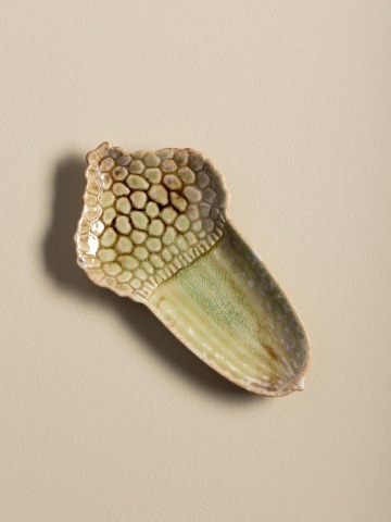 Set 2 recipiente decorative din ceramică artizanală natur, formă de nucă și ghindă, 13 × 21,5 × 11,5 cm, „Acorn" - Img 6