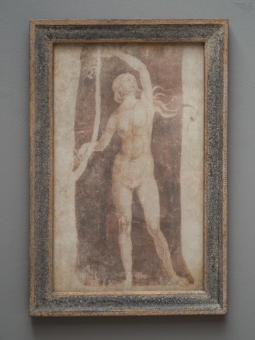 Tablou decorativ, cu rama din lemn de pin, aspect vintage, Nymphea - Img 2