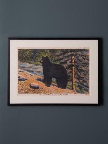 Tablou decorativ, cu rama din rasina, Bear Postcard - Img 2