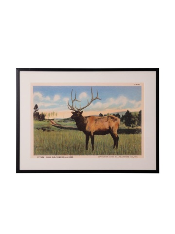 Tablou decorativ, cu rama din rasina, Deer Postcard