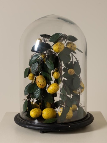 Clopot de sticlă cu lămâi artizanal, „Lemon Precious” - Img 3