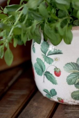 Ghiveci din ceramică crem cu model căpșuni „Fraises”, H9.5/D12 cm - Img 4
