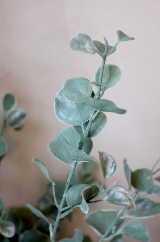 Planta decorativa artificiala eucalipt, in ghiveci negru, Fleur - Img 2