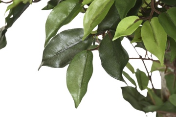 Arbore decorativ tip ficus, stil natural interior, culoare verde, din lemn și material decorativ, „Ficus Green” - Img 3