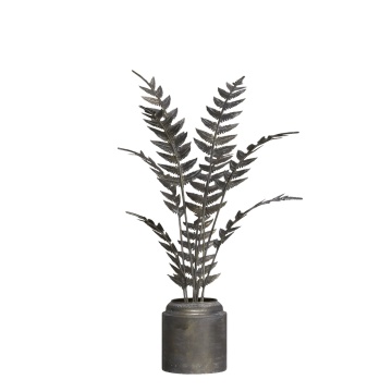 Planta decorativa in ghiveci, alama, H81 cm