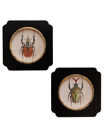 Set 2 tablouri cu insecte, cu rama din lemn, Beetles
