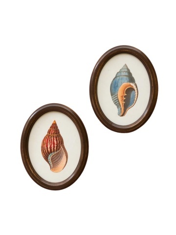 Set 2 tablouri vintage înrămate cu scoici, ramă ovală din lemn maro și sticlă, 28 x 22 x 2 cm, „Coquillage”