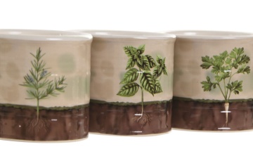 Set 3 ghivece decorative pentru plante aromatice din ceramică, 13,5×13,5×11,5 cm, „Herboria" - Img 3