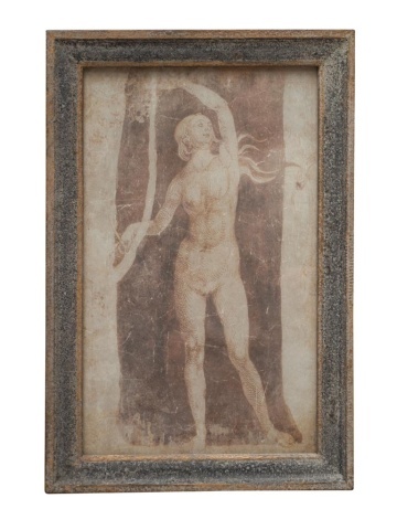 Tablou decorativ, cu rama din lemn de pin, aspect vintage, Nymphea