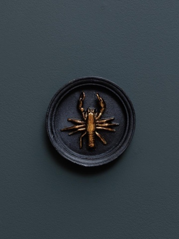 Decoratiune de perete, neagra, din rasina, Lobster - Img 2