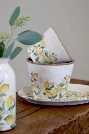 Ghiveci Limone Blossom cu lămâi și flori - Img 4