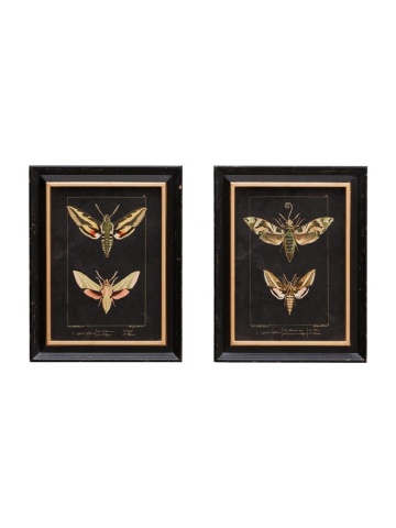 Set 2 tablouri, "Butterfly"