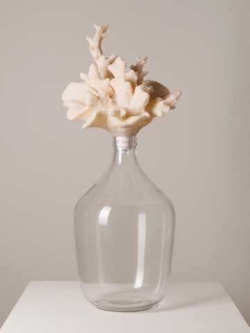 Sticla cu capac in forma de coral White - Img 2