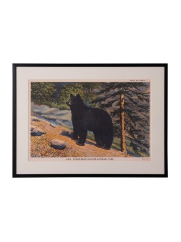 Tablou decorativ, cu rama din rasina, Bear Postcard