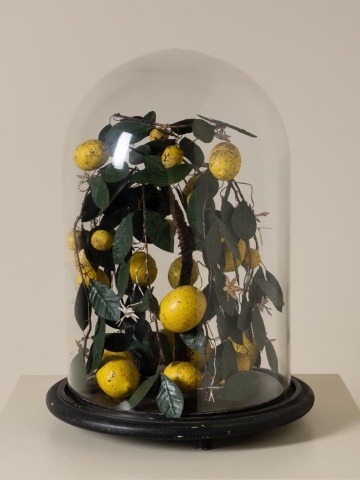 Clopot de sticlă cu lămâi artizanal, „Lemon Precious” - Img 4