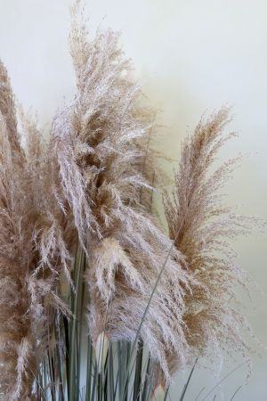 Plantă artificială decorativă, tip stuf verde, H170 cm, „Fleur” - Img 4